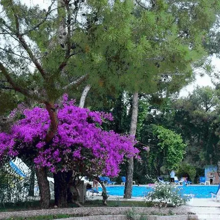 Beach Club Pinara Hv2 كمر