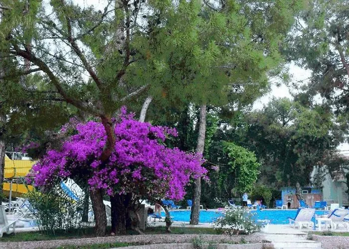 Beach Club Pinara Hv2 קמר