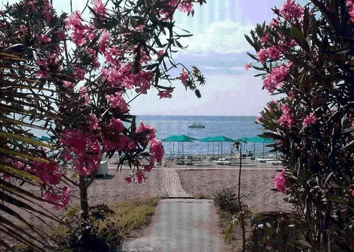 Hotel Beach Club Pinara Hv2 3*